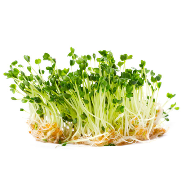 5 Reasons Why You Should be Eating Sprouts