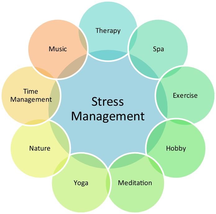 Stress and Your Health: Does Stress Make You Fat?