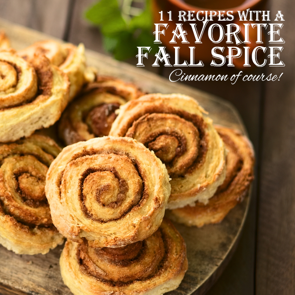 11 Recipes with a Favorite Fall Spice – Cinnamon!