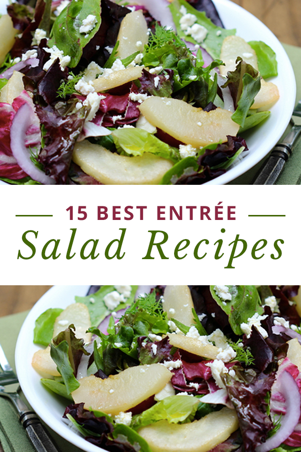 15 Best Entrée Salad Recipes