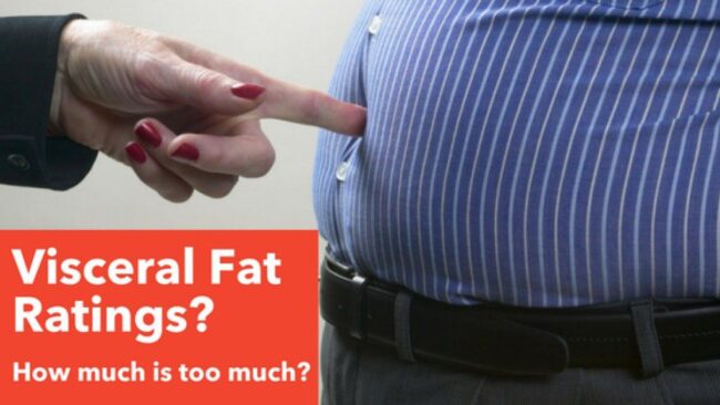 Understanding Visceral Fat and Effective Strategies for Eliminating It 