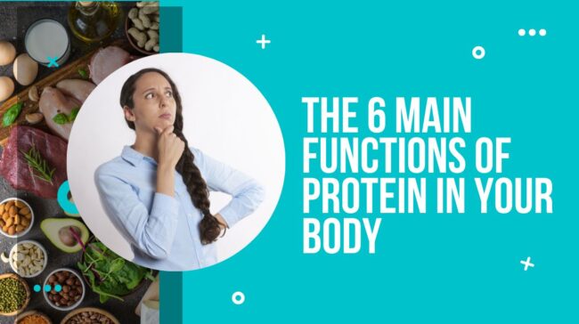 All you need to know about proteins in the human body 